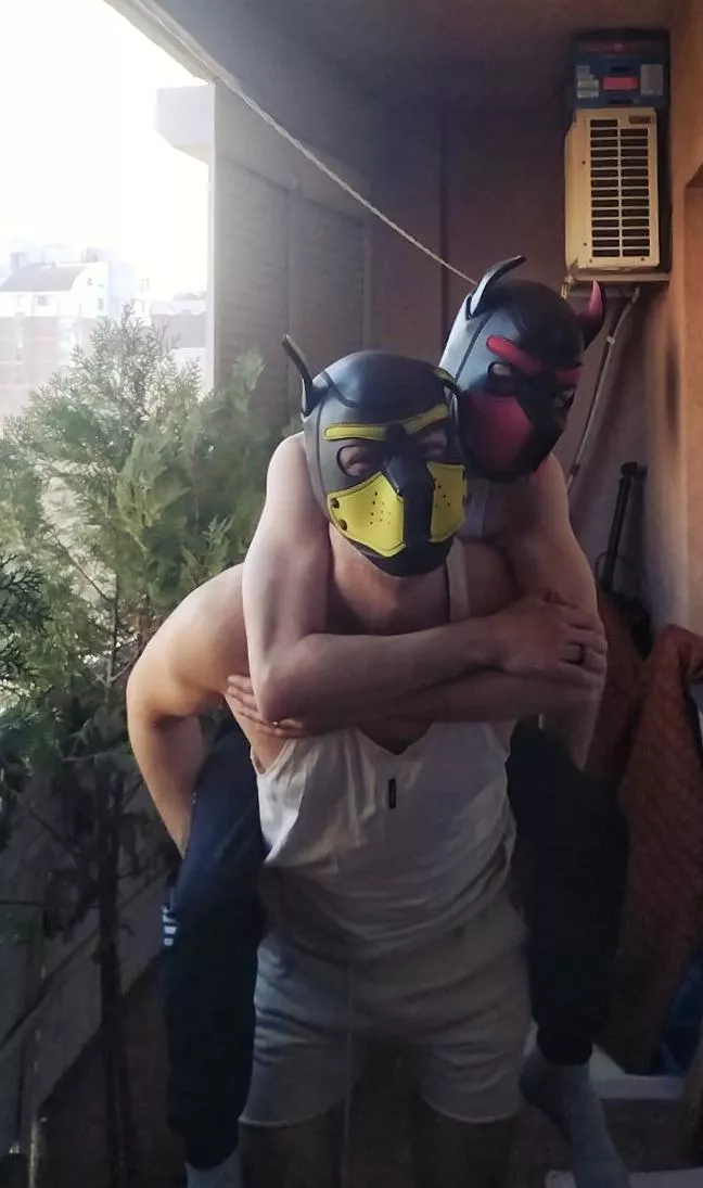 Piggyback? How about doggyback?