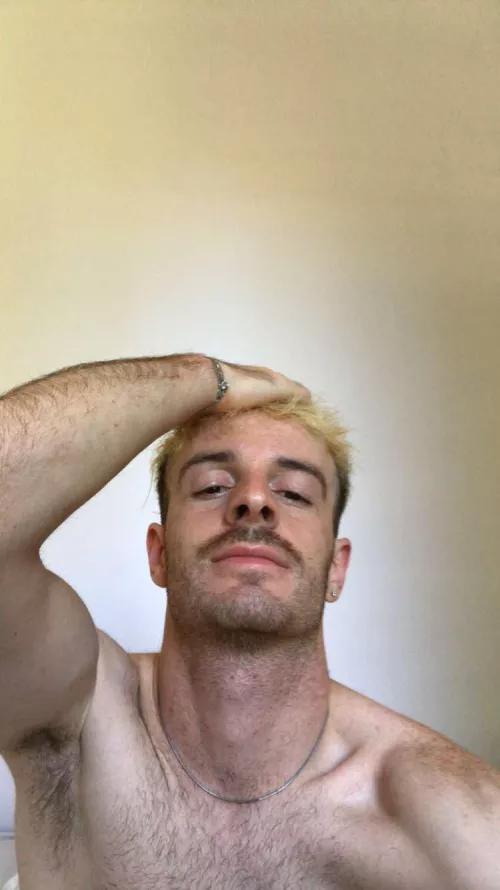 Should I go back to blond?