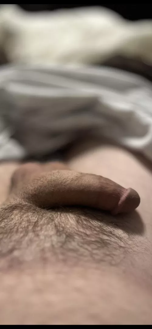 Soft focus softie…