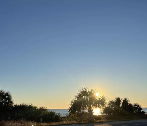 The beach is everything 