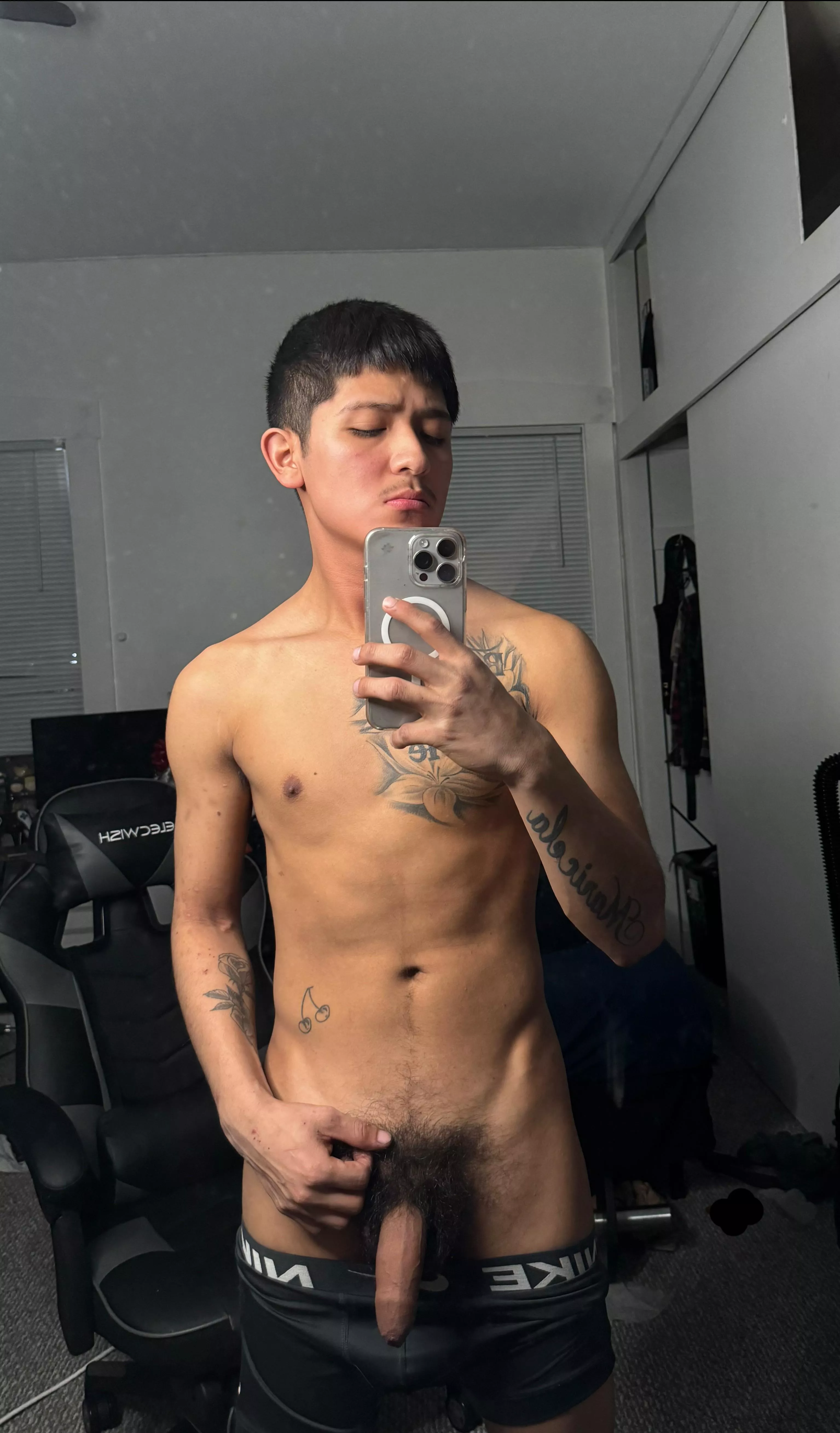 Who likes a bush ? (19)