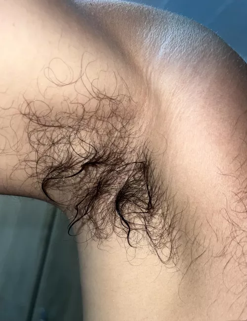 Who wants to lick my sweaty pits ?