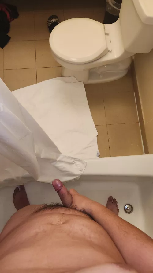 19 big booty chubs dm