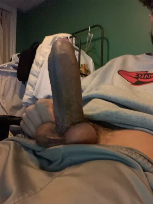 21m richardslit02 wanna jerk with a nice cock