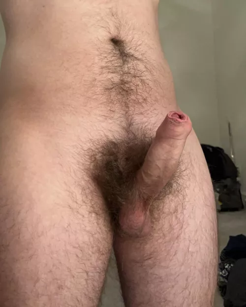 22 DC hairy uncut college cock, ripe after a long day