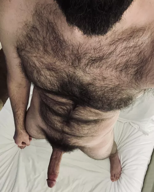 [44] bearded & boned