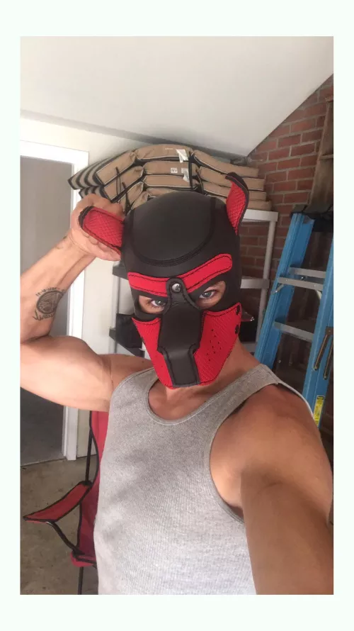 Absolutely zero judgment kind of guy here. That being said...what's your most naughty/bizarre kink?