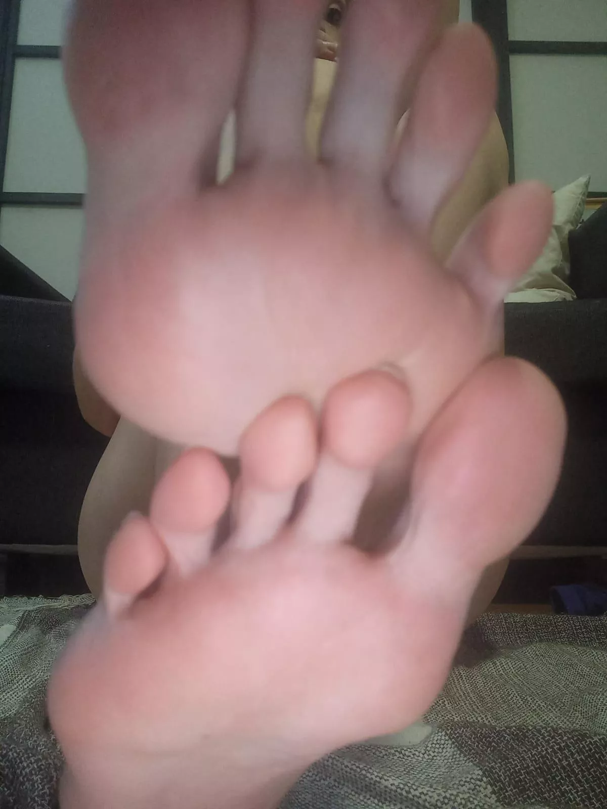 beautiful and giant soles