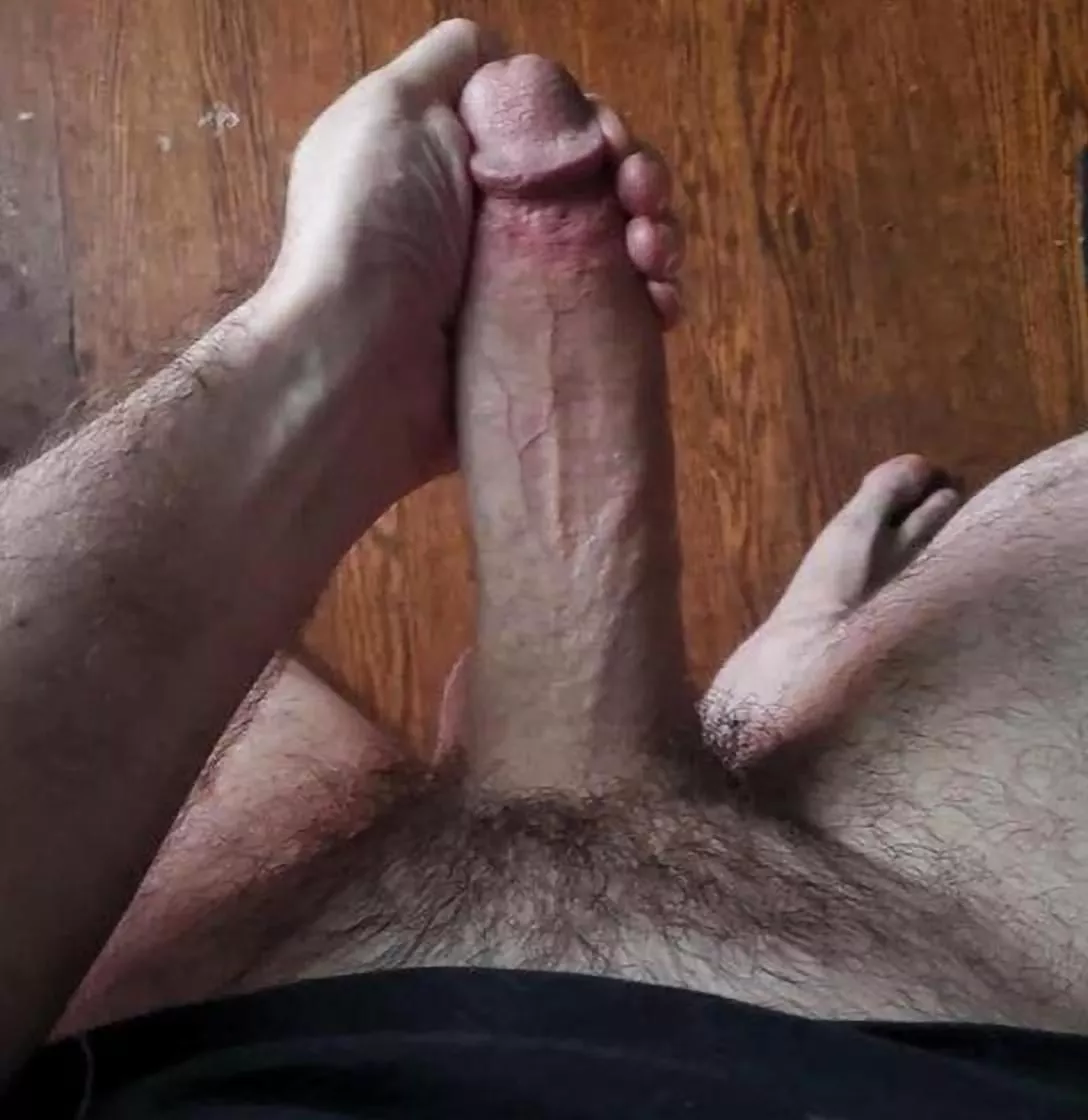 Can I put this in you?