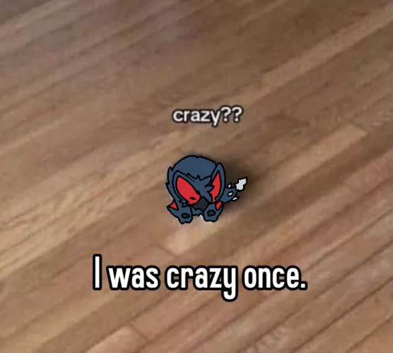 crazy?? I was crazy once. (By @RuiOnRollers, me!)