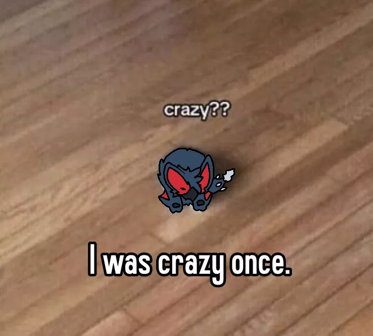 crazy?? I was crazy once. (By @RuiOnRollers, me!)