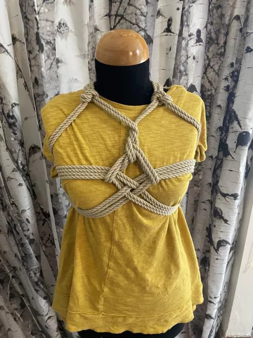 Figure 8 chestharness