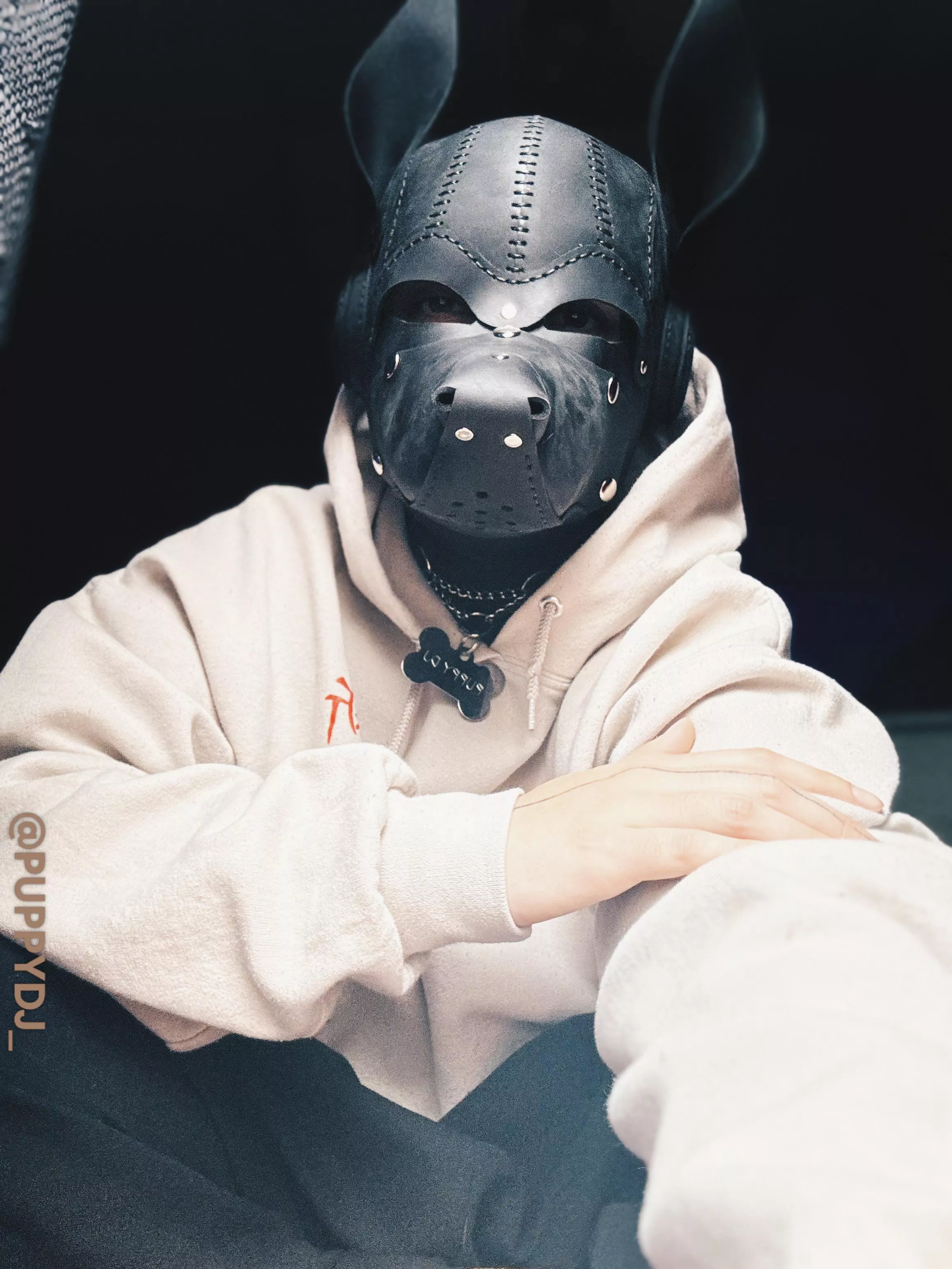 Finally got my new hood 🐾🖤