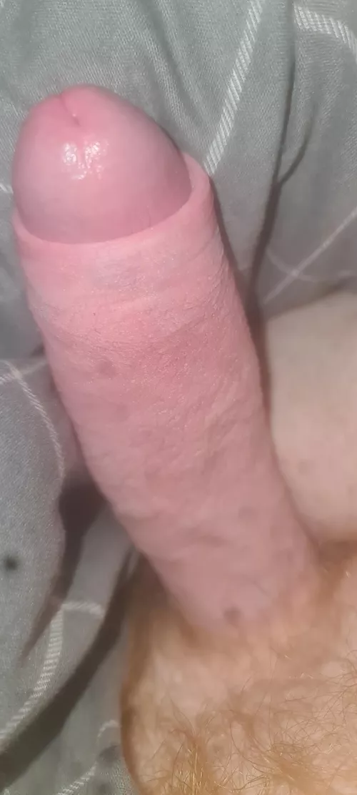 Guess the size [24] UK