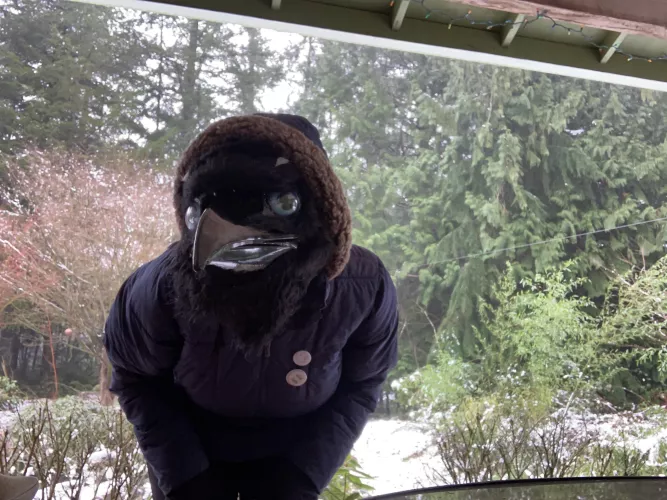 Happy Feathersuit Friday my friends! I got a bit of snow on Thursday! ❄️💙🐦‍⬛