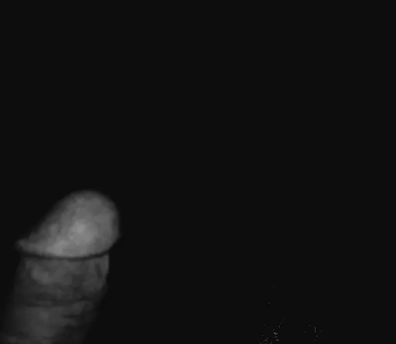 Heading to the light