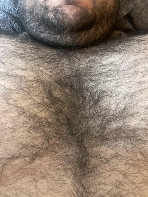 I think I have a lot of hair...