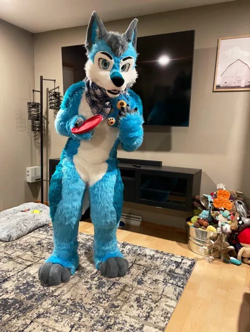 I was thinking we could play fetch