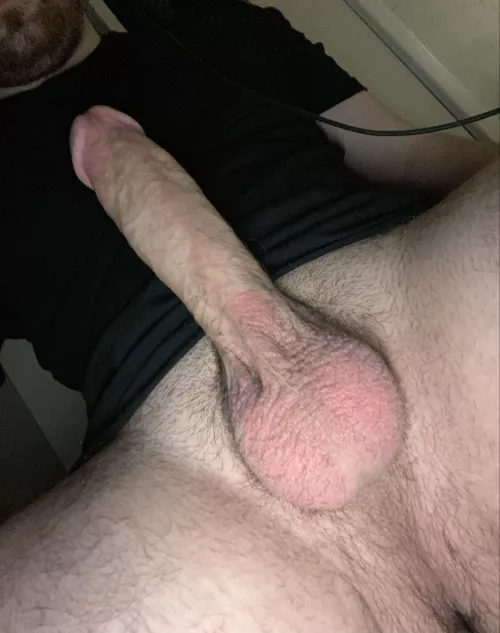 If you had the opportunity would you suck my cock?