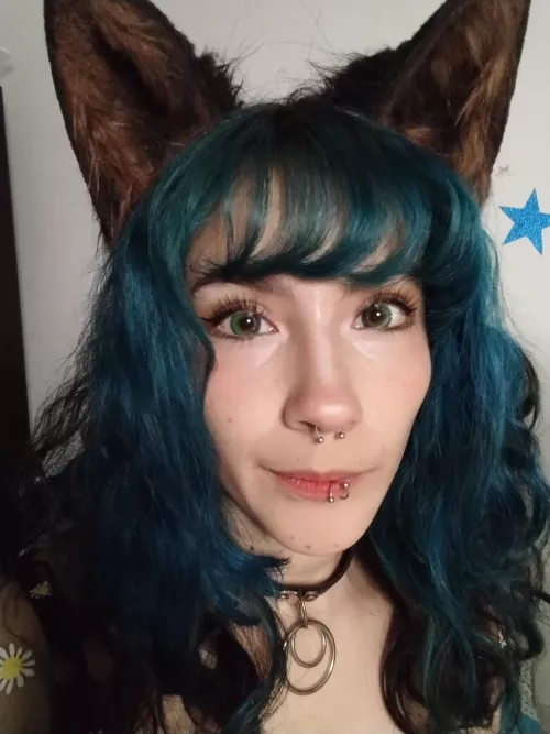 I'm a good and spoiled kitty