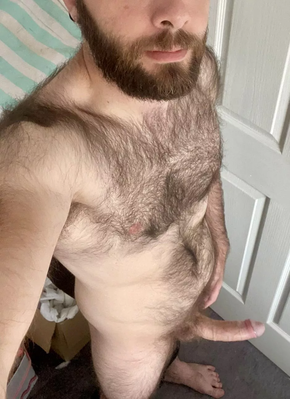 let me know what else you to see