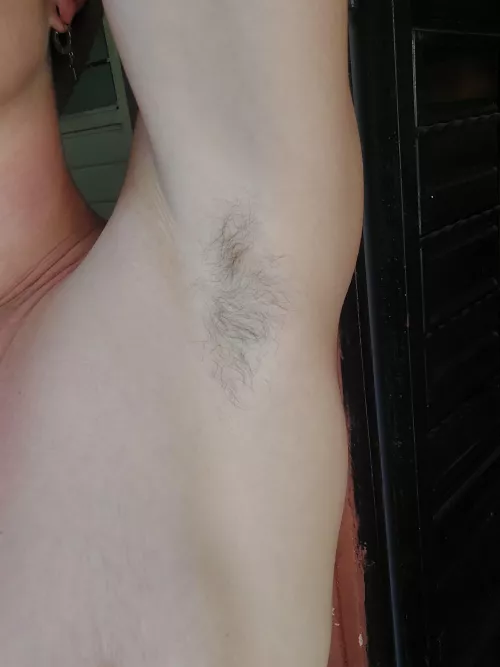 Lick or sniff my musky, soft fuzz?