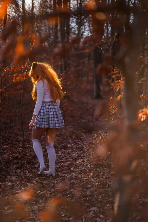 Lost in the forest (self) 