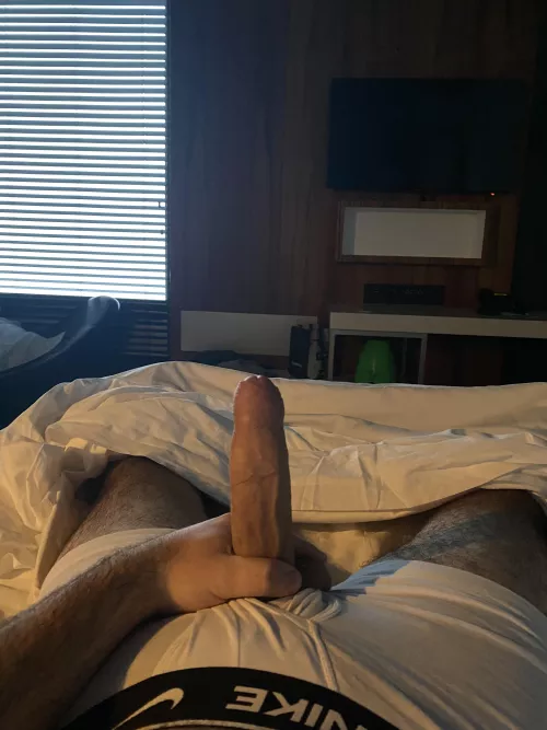 Morning wood 🪵 (25)