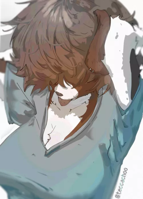 my first fursona idea