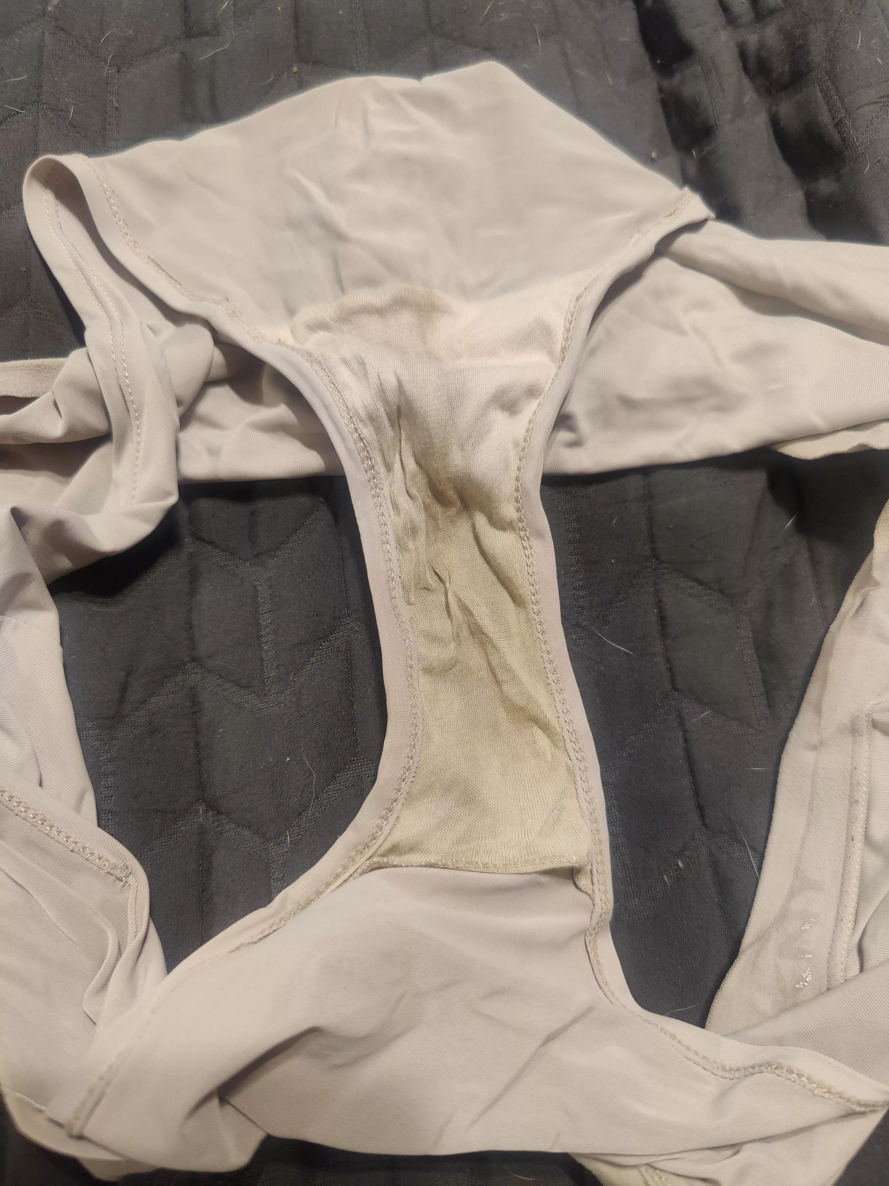 My wife's dirty panties.