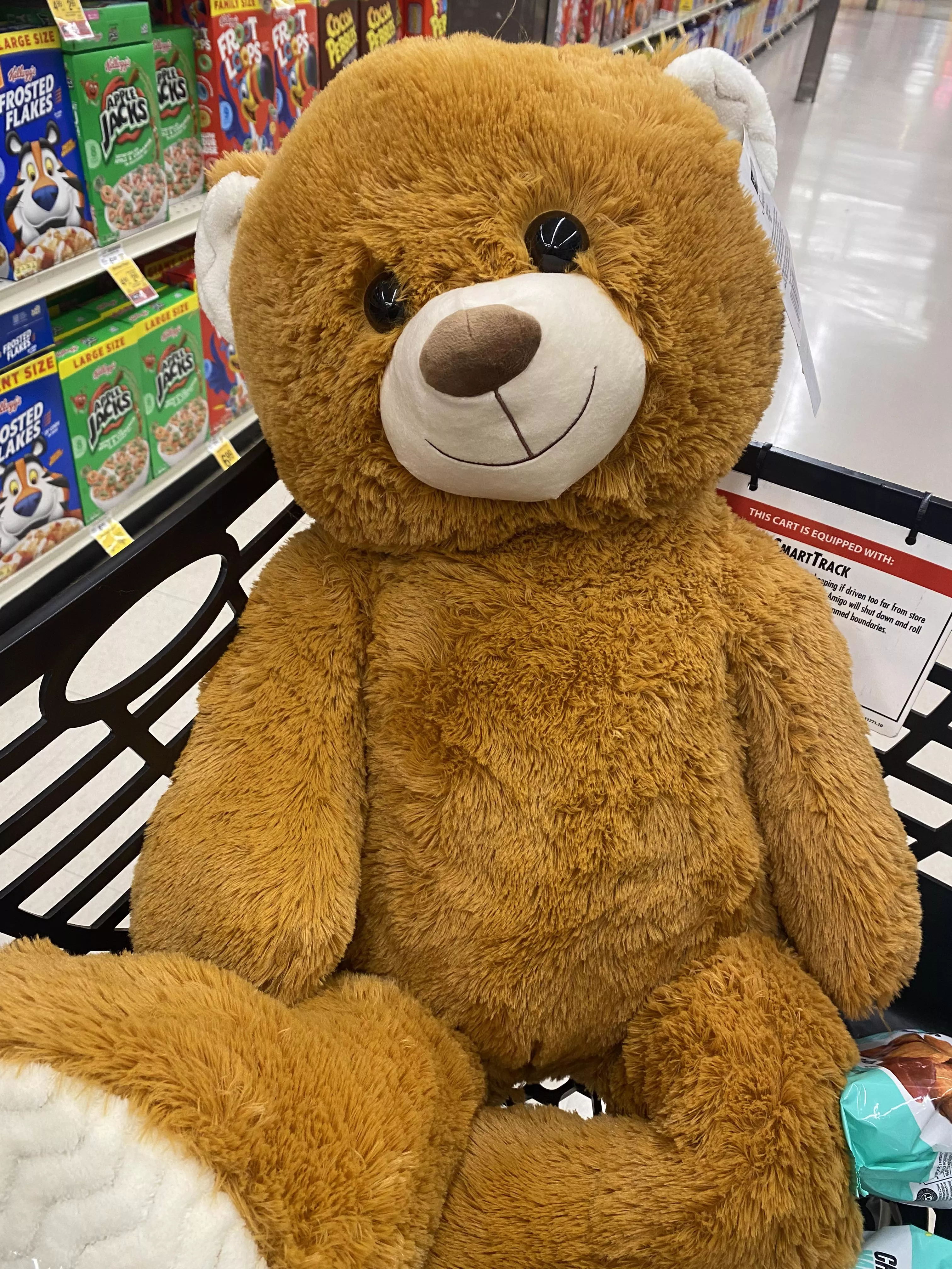 This is what happens when I go to the store without daddy…….😅