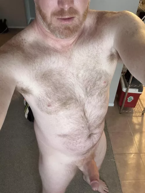 Well, it’s the weekend. Now what/who to do?