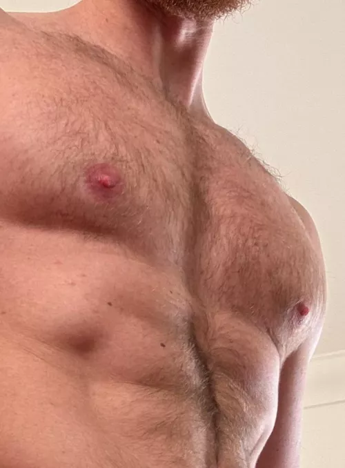 What do you want from your Fur Daddy Viking ?