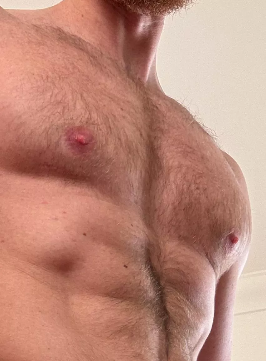 What do you want from your Fur Daddy Viking ?