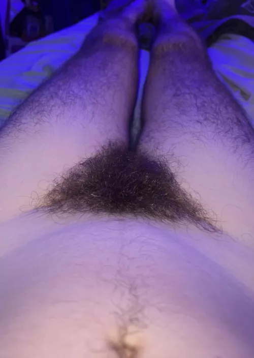 What’s hiding under the bush? 