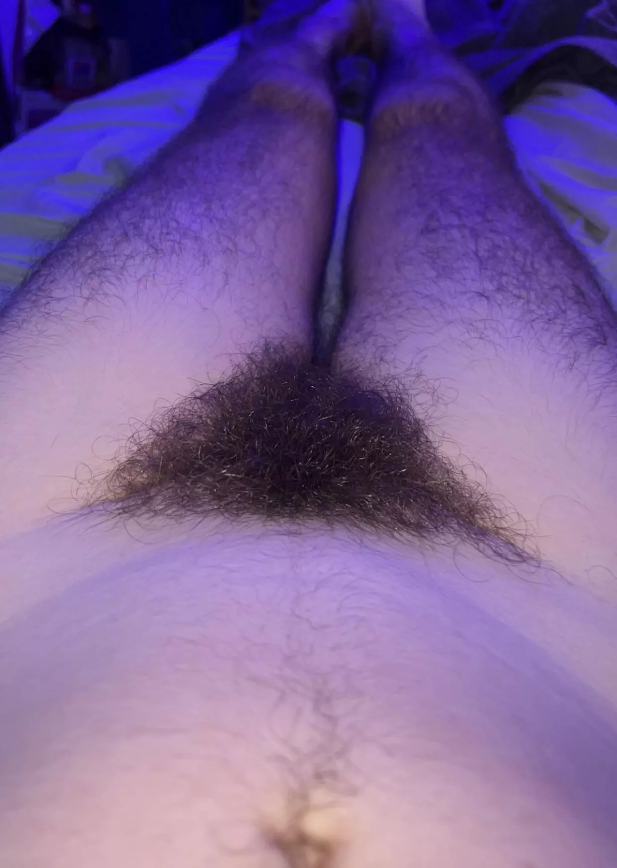 What’s hiding under the bush? 