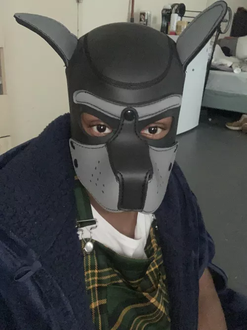 Wolfie says hi. awoo 🐺