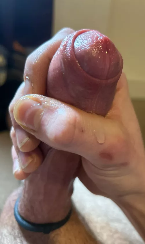 [24] do you prefer cut or uncut cock?