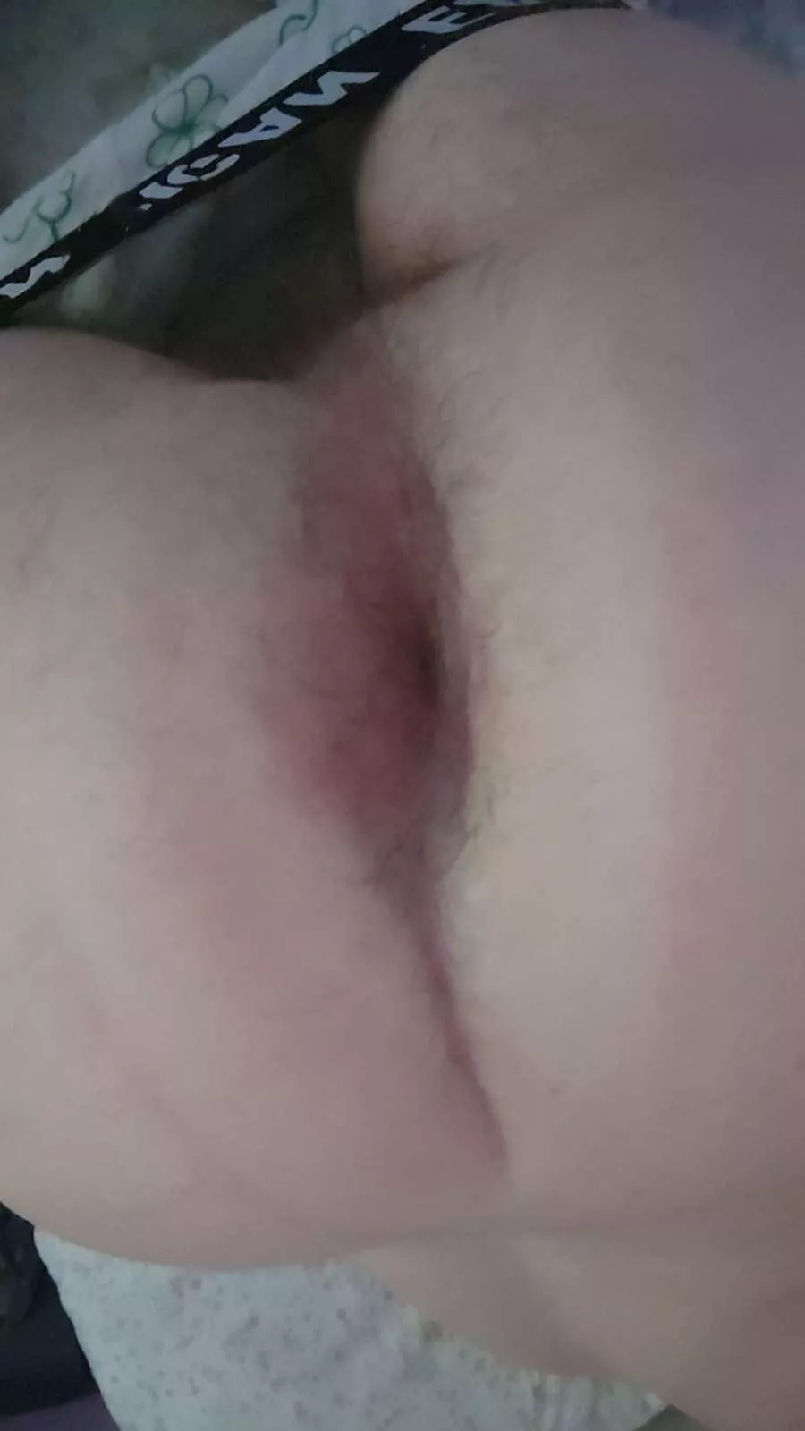 Anybody have any home made creampie vids I love seeing an ass get bred balls deep espically multiple times and oozing out just dreaming it could be my ass one day😩