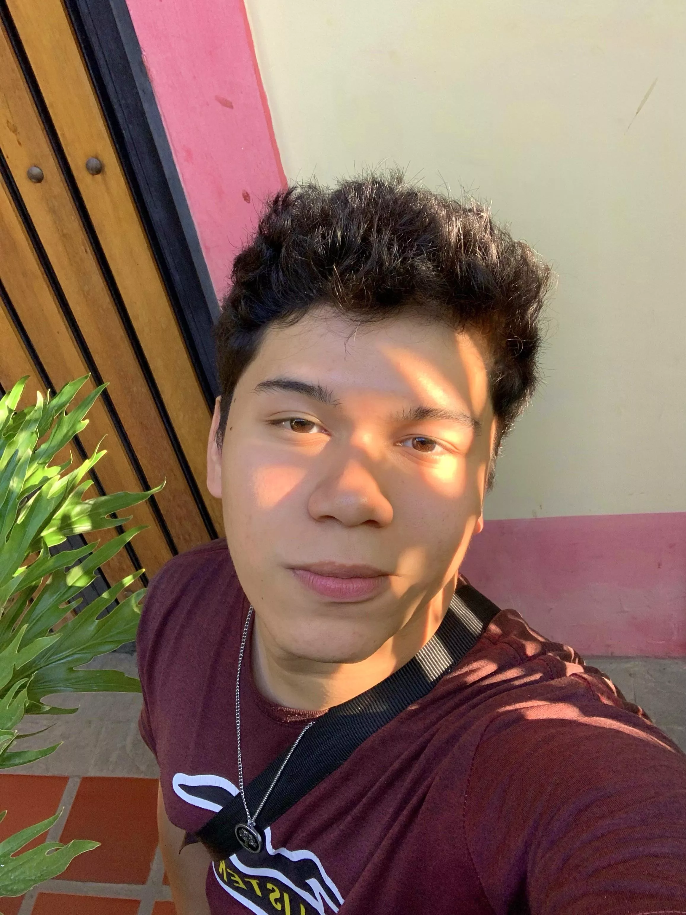 Anyone else here loves silent hill??