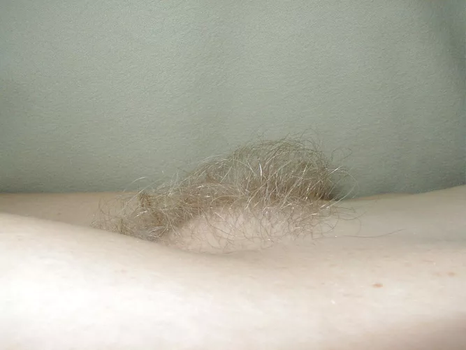 Blond bush from the side