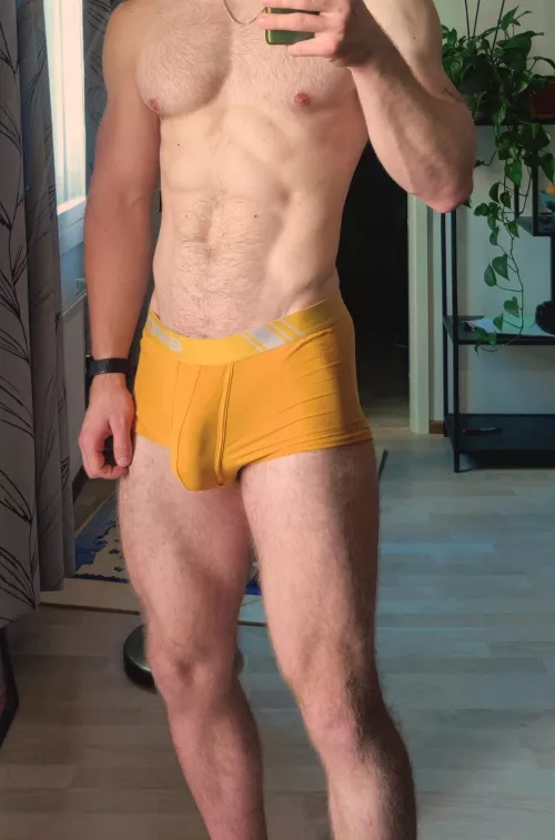 Bulge in the sun