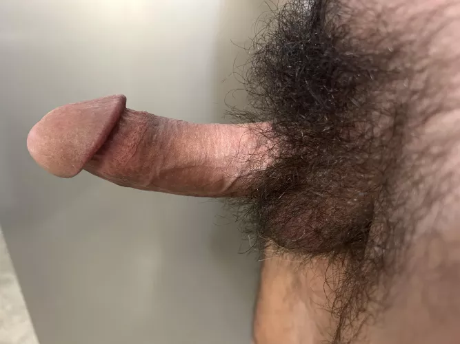 Bury your face in my bush