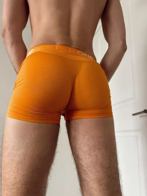 Come sniff this orange