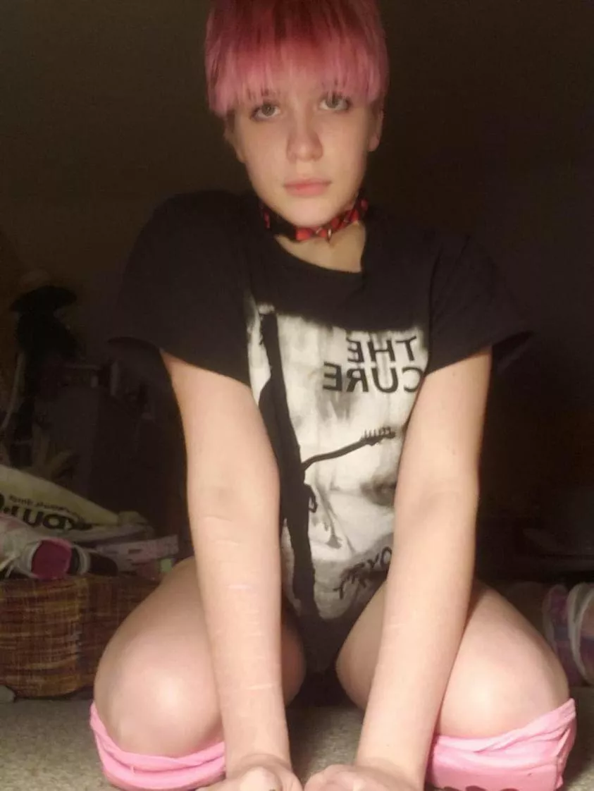 Do you like my collar?