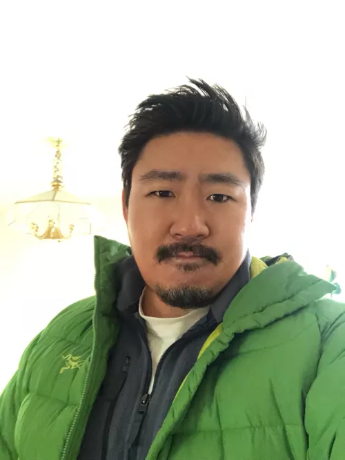 Elusive north american asian bear