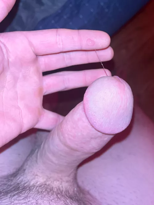 Every time I wipe it away it cums right back 🤤