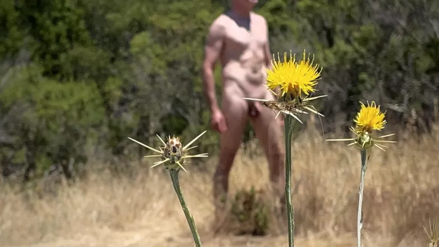 Feeling prickly today