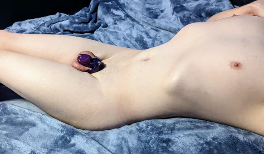 I can't believe I've lasted 6 days in my cage, do I deserve a break now?