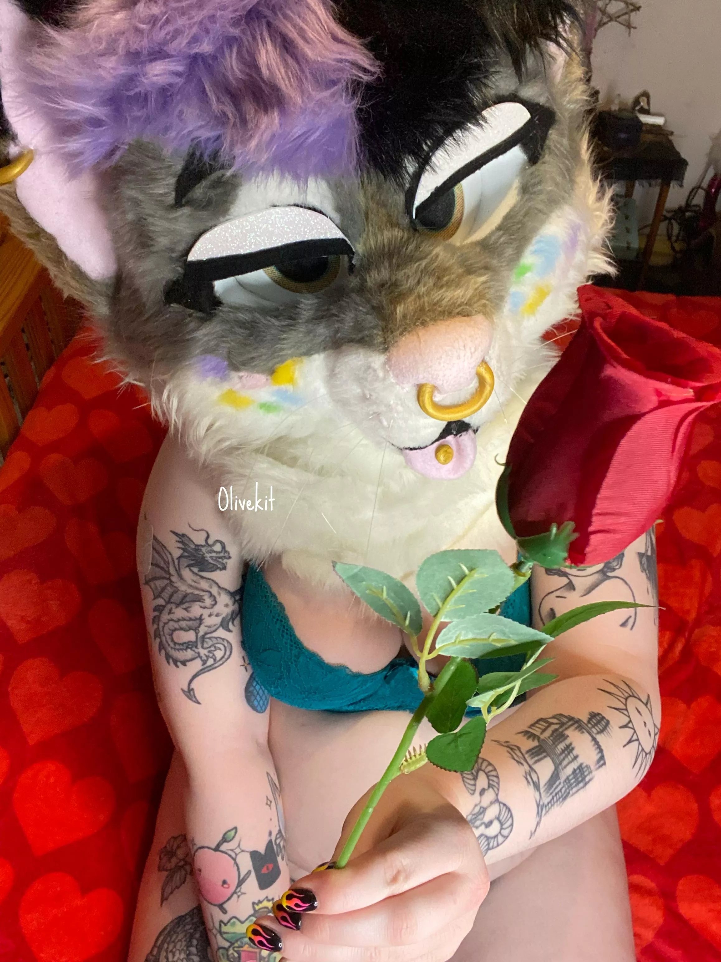 Kitty has a rose for you
